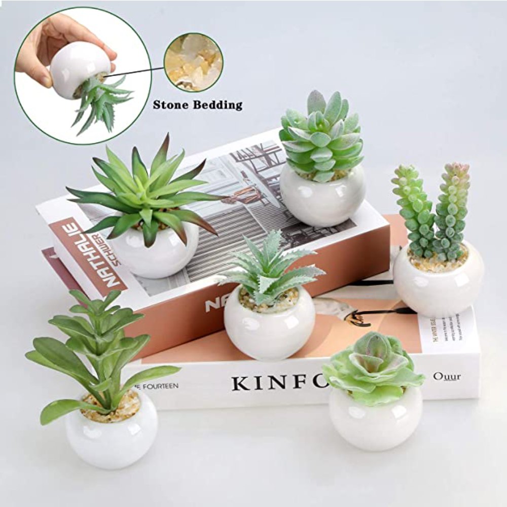 Artificial Succulent Plants