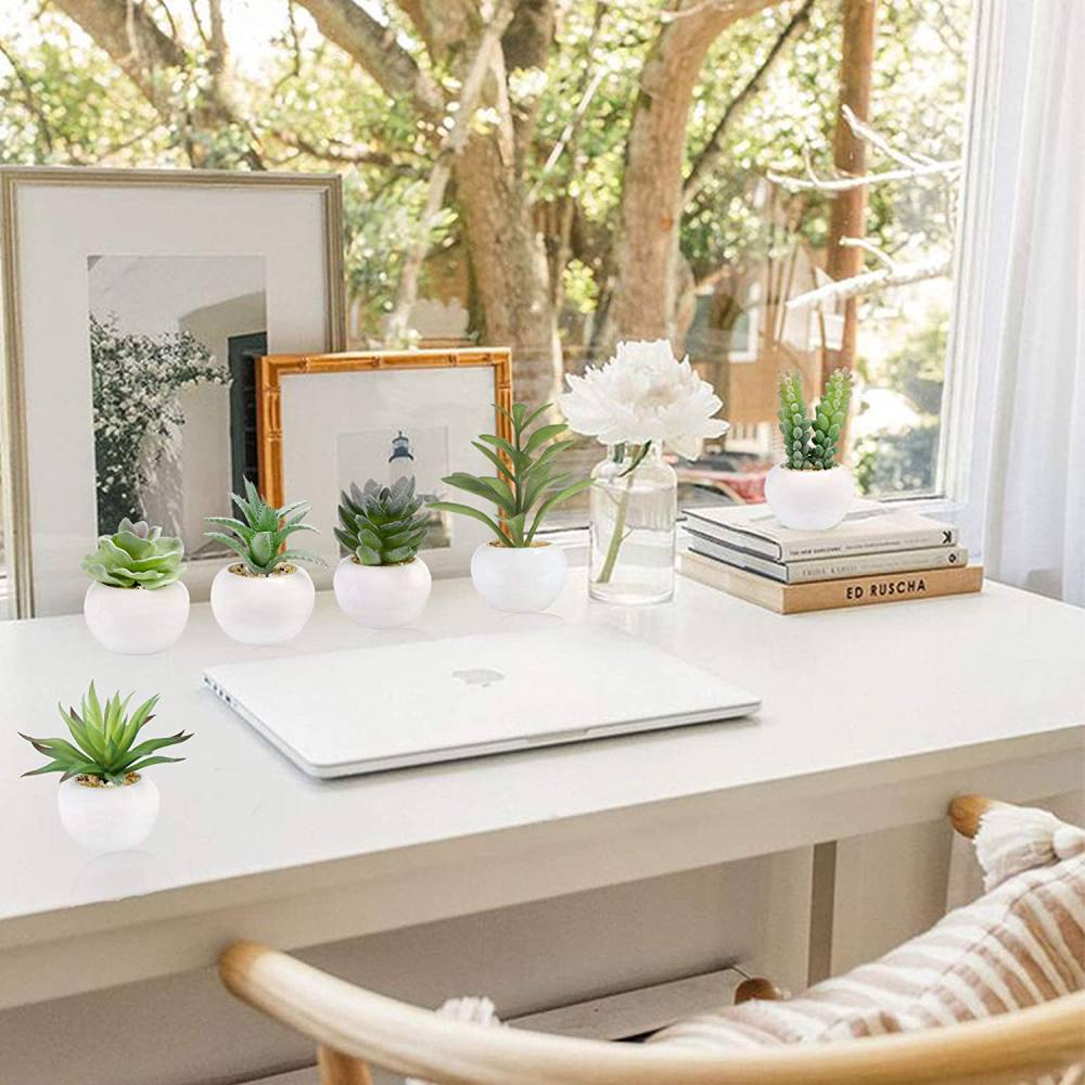 Artificial Succulent Plants