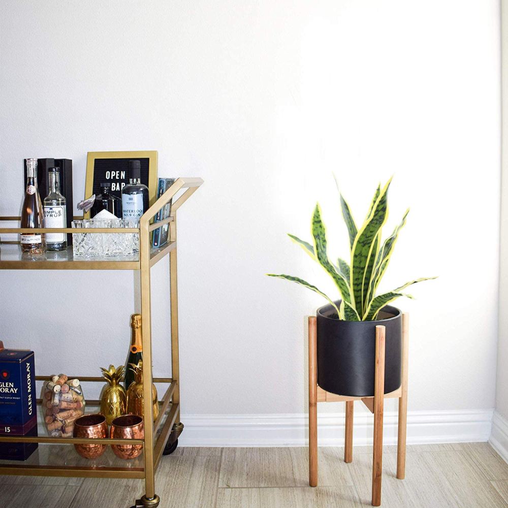 Artificial Snake Plant: image 7