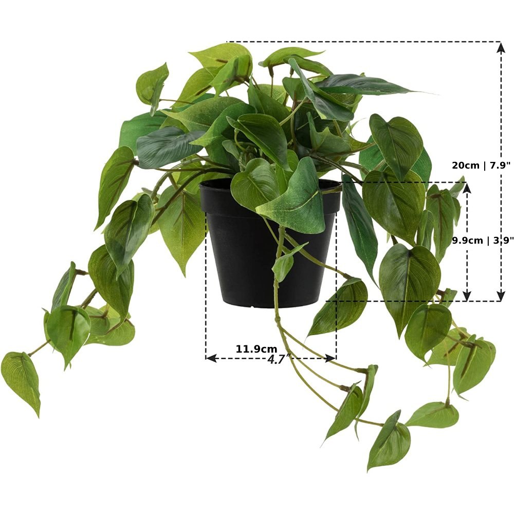 Artificial Lucky Greenery: image 5