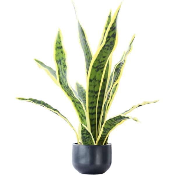 where to buy artificial snake plant